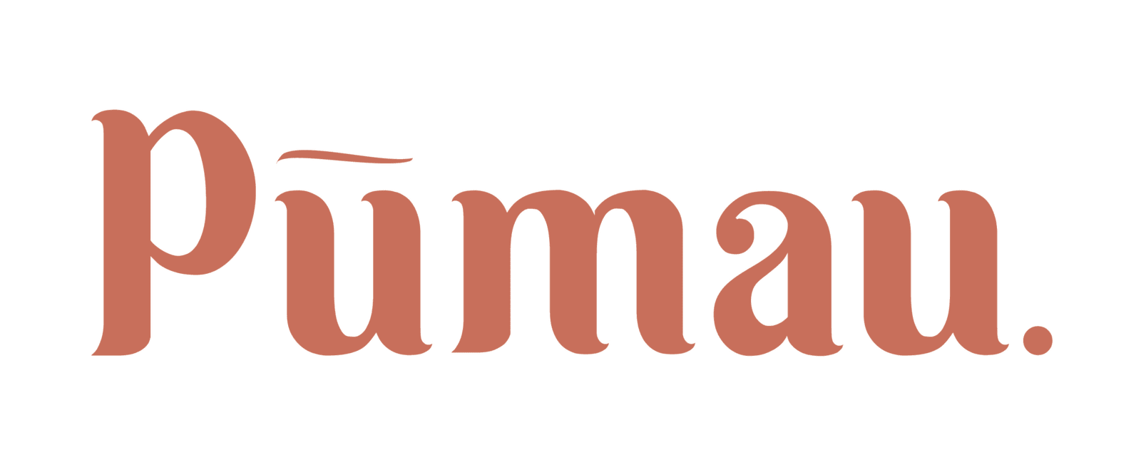 Pūmau Business Virtual Assistant Business Optimisation